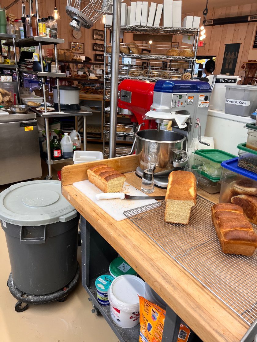 Bakery kitchen with fresh Japanese milk-bread loaves